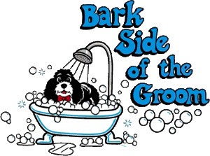 Bark Side of the Groom